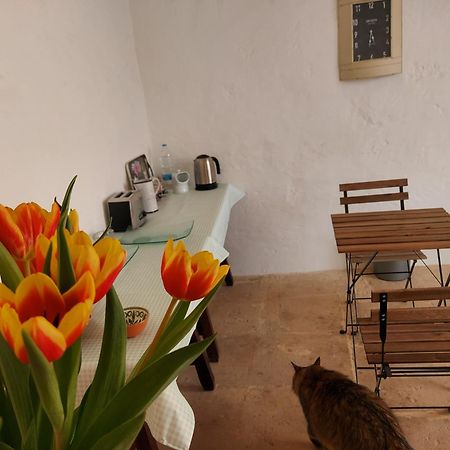 Għasri Razzett Warda B&B المظهر الخارجي الصورة