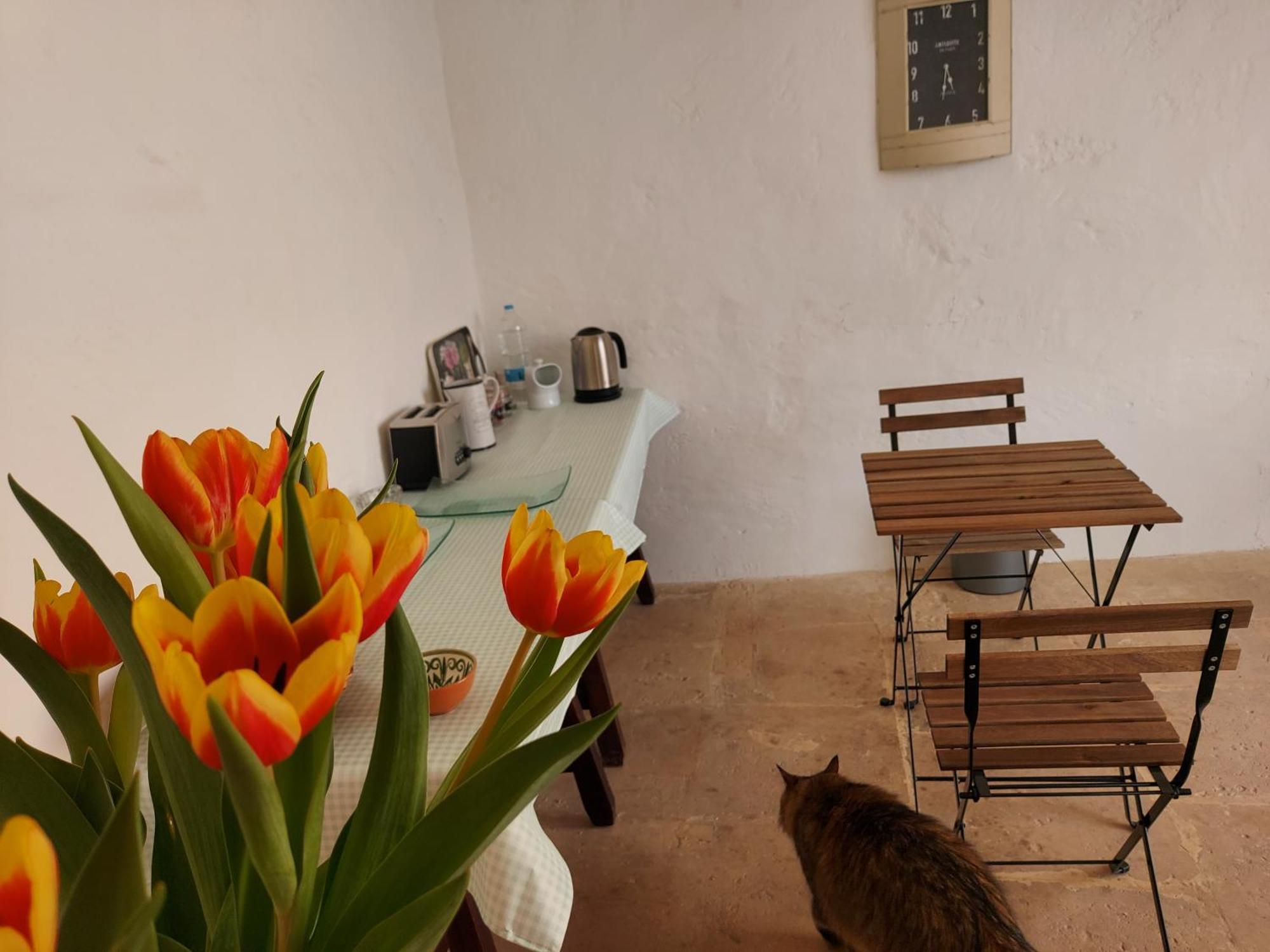 Għasri Razzett Warda B&B المظهر الخارجي الصورة